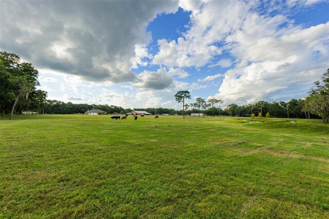 1440 Duff Rd, Lakeland, FL 33810 - view of grassy yard