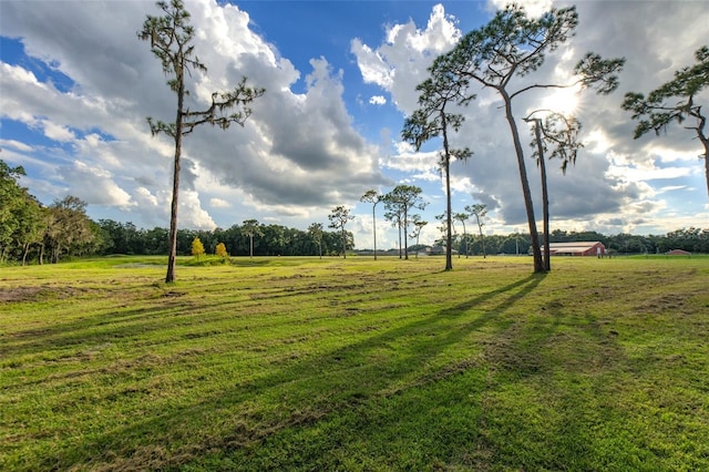 view of yard featuring a rural view