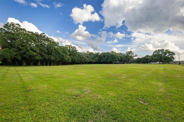1440 Duff Rd, Lakeland, FL 33810 - view of green lawn