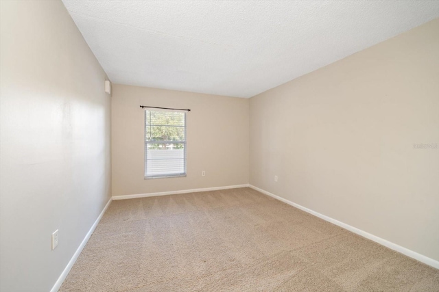 empty room featuring carpet and a textured ceiling