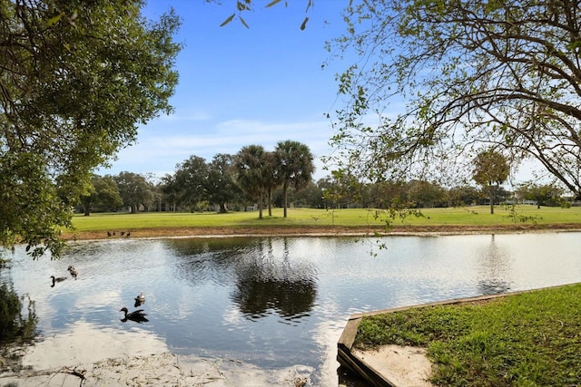 water view