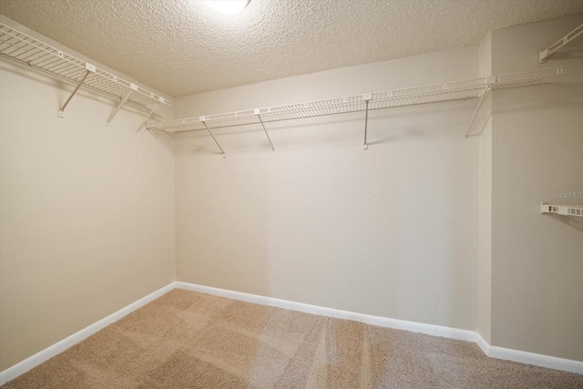 walk in closet featuring carpet floors