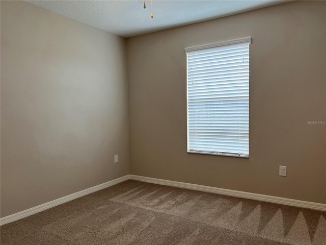 2126 Richwood Pike Dr, Ruskin, FL 33570 - photo 37