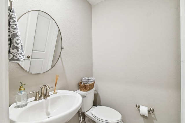 10012 Corso Milano Dr, Tampa, FL 33625 - bathroom with a sink and toilet