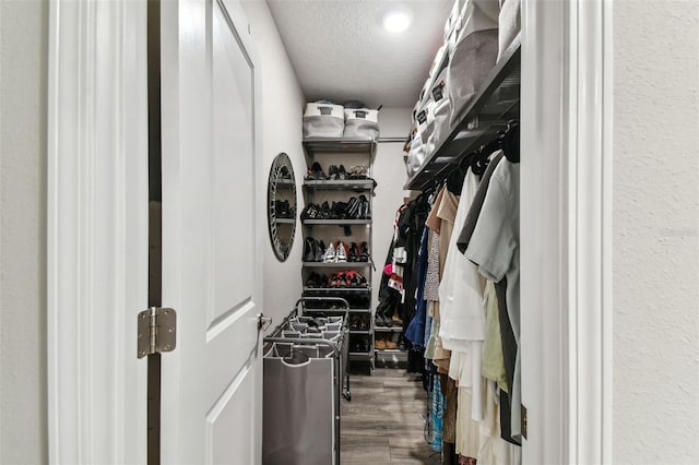 spacious closet featuring hardwood / wood-style floors