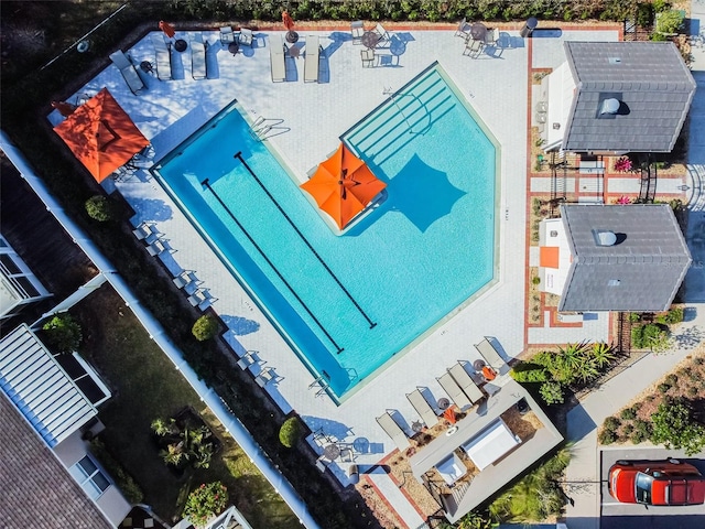 10012 Corso Milano Dr, Tampa, FL 33625 - bird's eye view