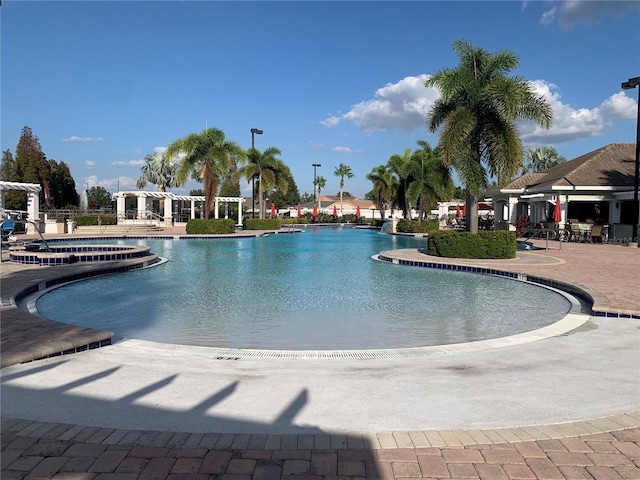 view of pool featuring a patio