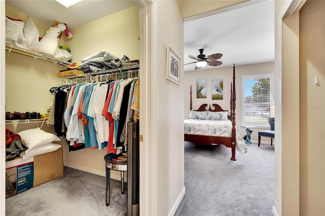 spacious closet with ceiling fan and carpet floors