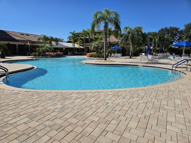 view of pool featuring a patio