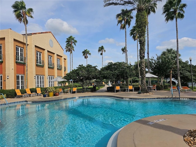 view of pool featuring a patio