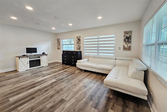 living room with hardwood / wood-style flooring