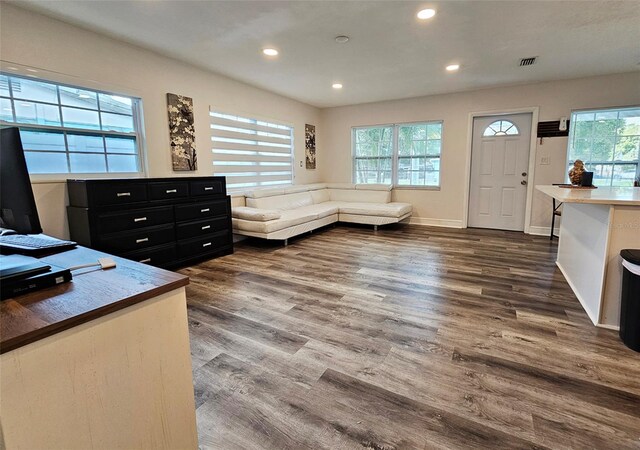 interior space featuring a wealth of natural light and dark hardwood / wood-style flooring