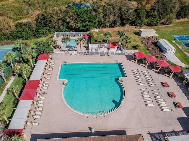 view of swimming pool with a patio area