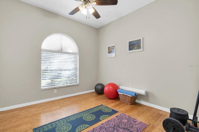 workout room with hardwood / wood-style flooring and ceiling fan