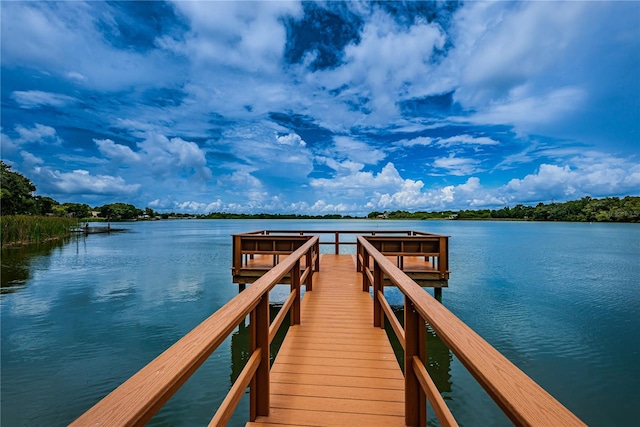 dock area with a water view