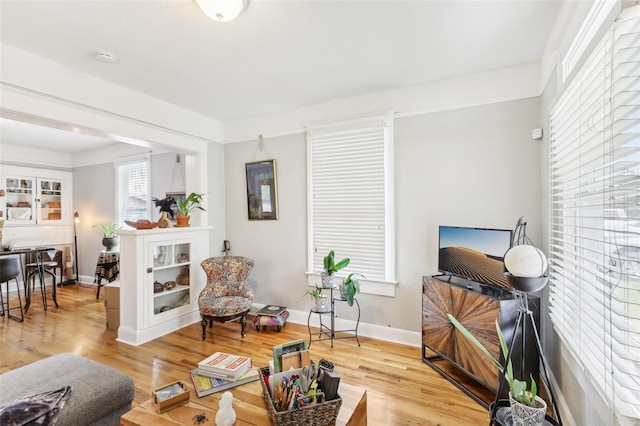 living room with light hardwood / wood-style flooring