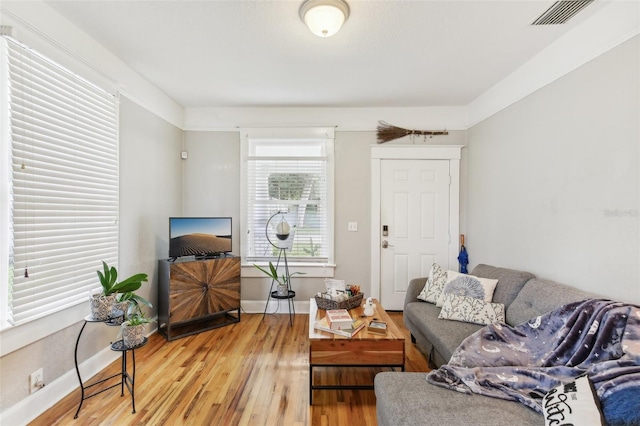 living room featuring hardwood / wood-style flooring