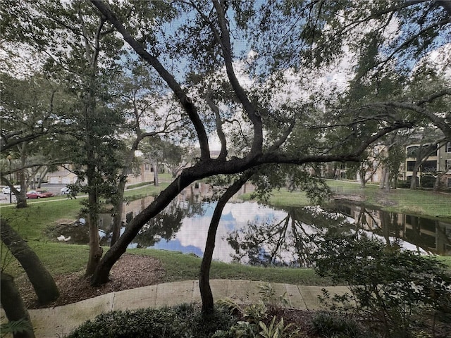 view of water feature