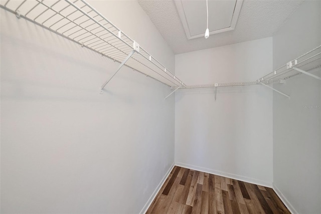 spacious closet with dark hardwood / wood-style flooring