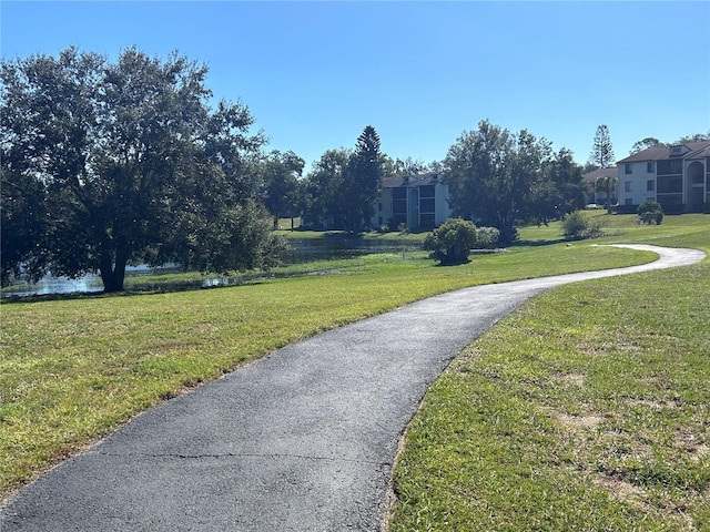 view of home's community with a lawn