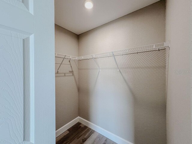 spacious closet featuring wood-type flooring