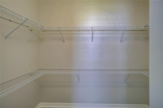 view of walk in closet