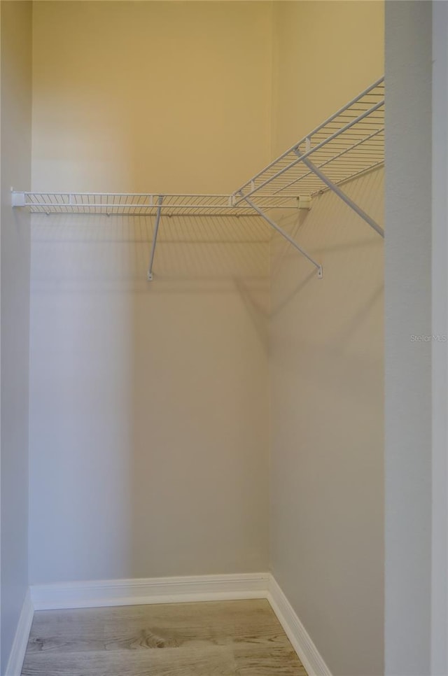 walk in closet featuring wood-type flooring