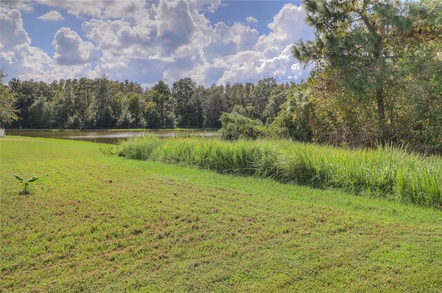 view of yard with a water view