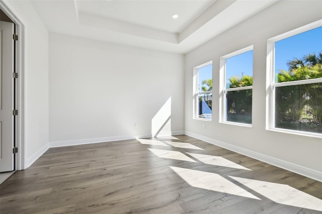 empty room featuring hardwood / wood-style flooring and a raised ceiling