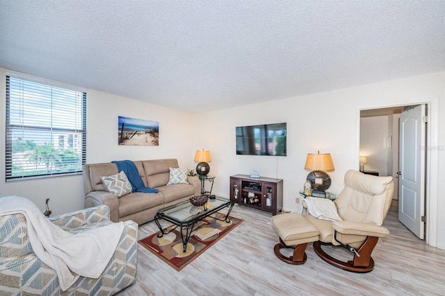 living room featuring light hardwood / wood-style floors and a textured ceiling