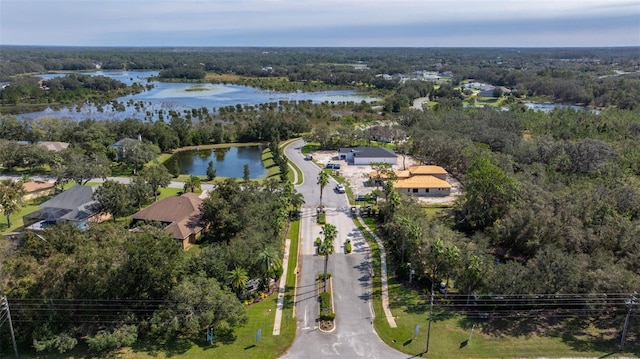 aerial view featuring a water view and a wooded view