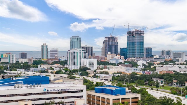 property's view of city