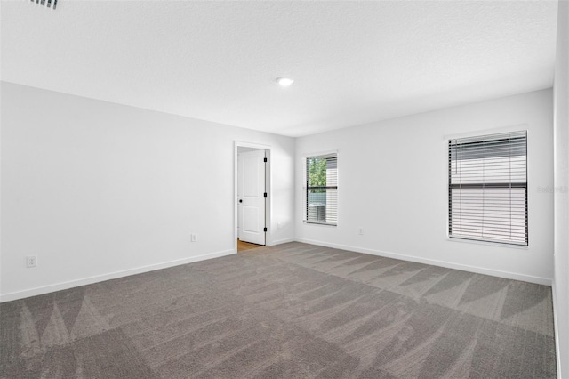 empty room featuring a textured ceiling and carpet flooring