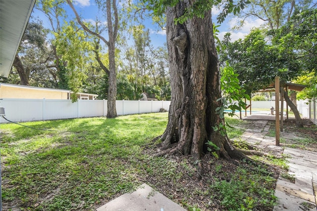 view of yard featuring a patio