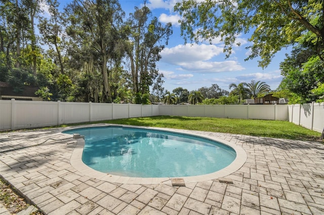 view of swimming pool featuring a patio area