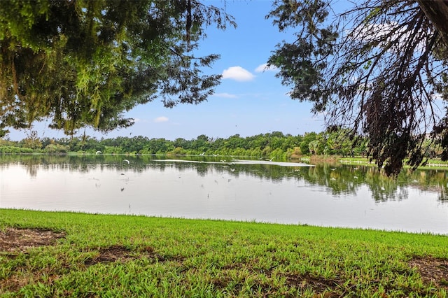 214 Cape Harbour Loop Unit 105, Bradenton, FL 34212 - water view with a forest