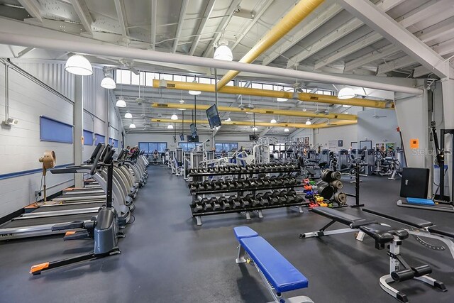 exercise room with a towering ceiling