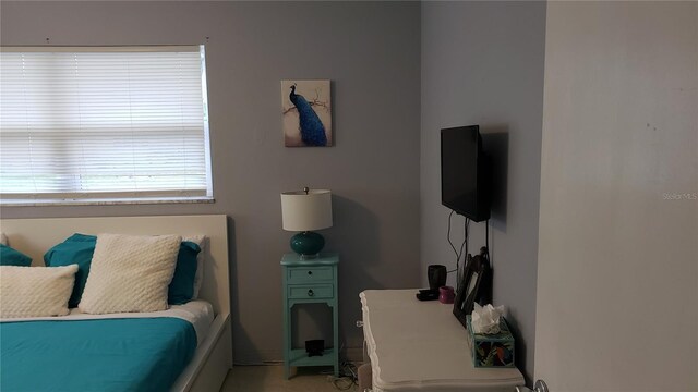 2392 Indigo Dr, Clearwater, FL 33763 - photo 14