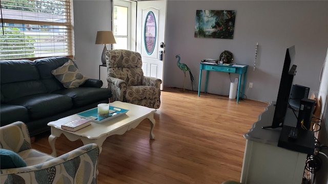 living room with light wood-type flooring