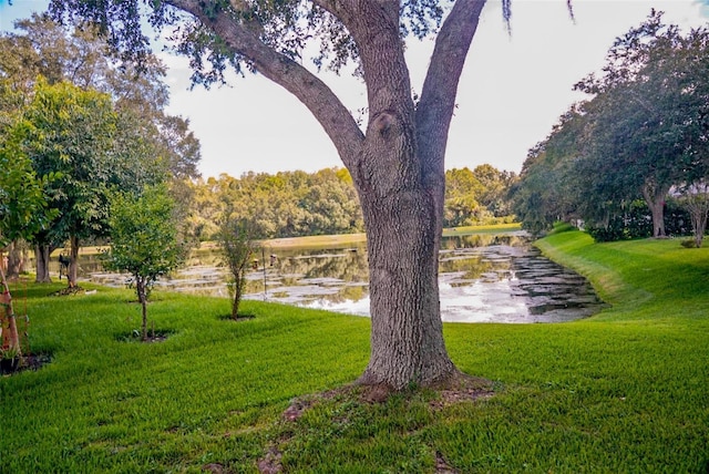 view of property's community featuring a yard and a water view