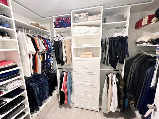 spacious closet featuring light hardwood / wood-style flooring