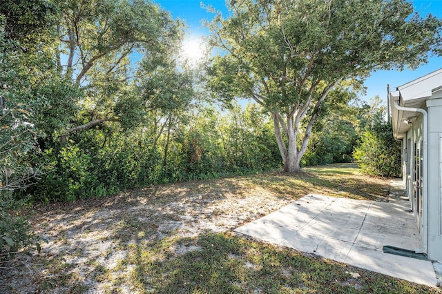 view of yard featuring a patio