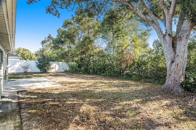 view of yard featuring a patio area