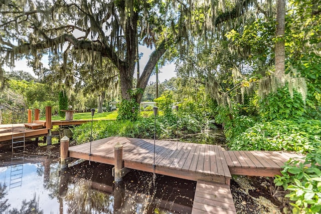 dock area featuring a deck