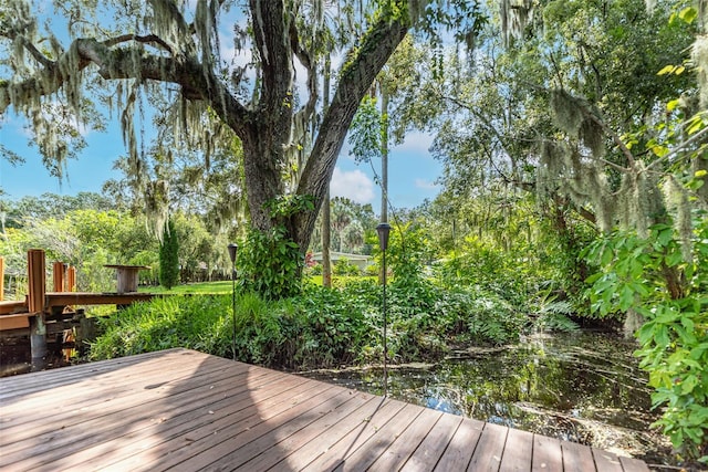 wooden deck with a water view