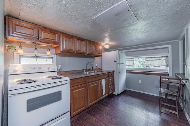 kitchen featuring white appliances, sink, dark wood-type flooring, and a wealth of natural light