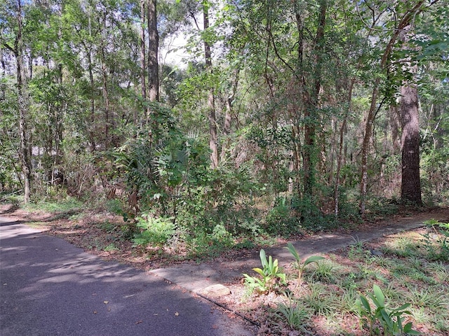2164 SW 37th Ct, Gainesville, FL 32608 - photo 5