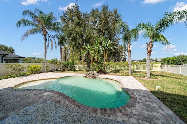 view of swimming pool featuring a patio and a lawn