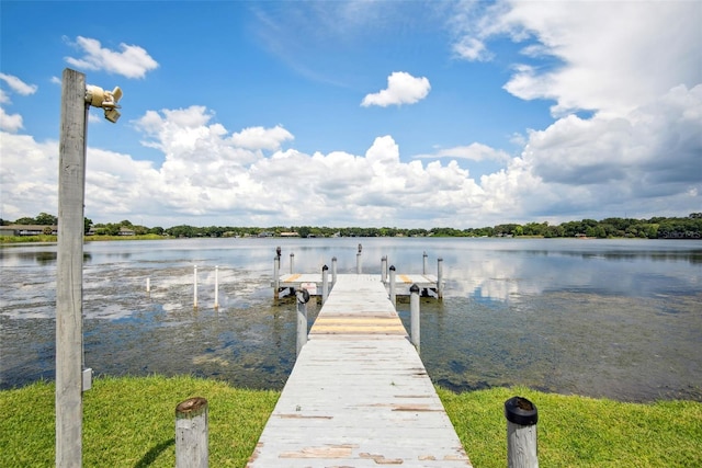 3127 W Sligh Ave Unit 204B, Tampa, FL 33614 - photo 29