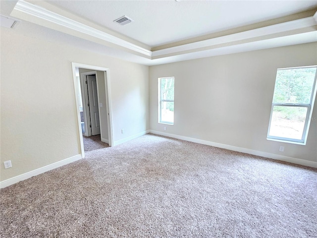 carpeted spare room featuring a tray ceiling